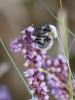 278894 – Photo : Antoine Pasco – France (40)